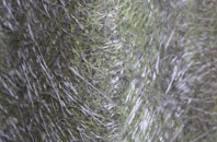 Beeston Royds fibreglass roof work